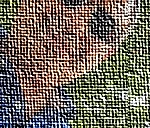 barees-.us-co-founder